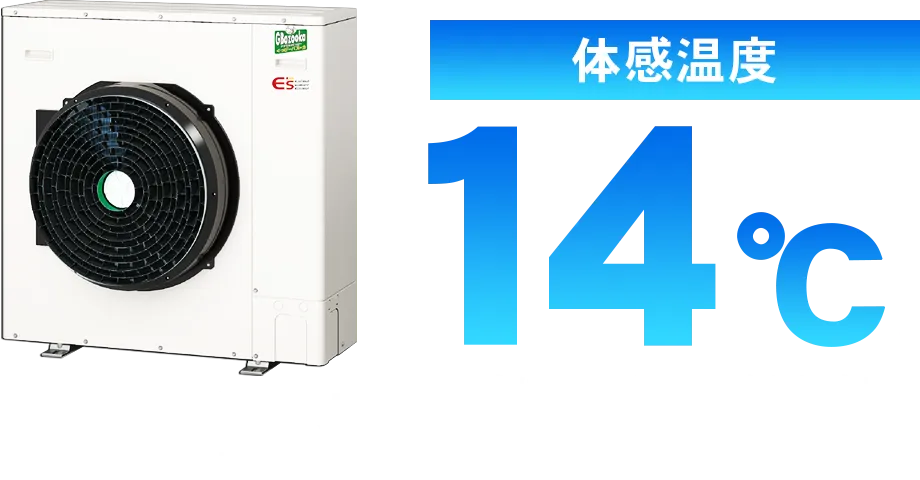 体感温度14℃